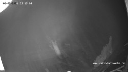 Údolí Úhlavy, Královský Hvozd