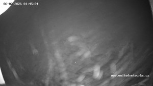 Obec Zelená Lhota - Údolí Úhlavy, Královský Hvozd - 6.2.2026 v 01:45