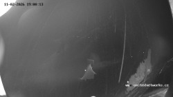 Údolí Úhlavy, Královský Hvozd