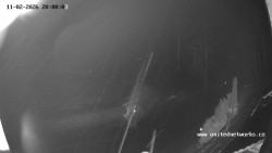 Údolí Úhlavy, Královský Hvozd