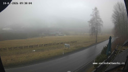 Údolí Úhlavy, Královský Hvozd