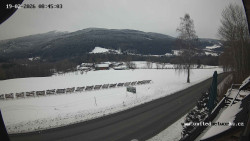 Údolí Úhlavy, Královský Hvozd