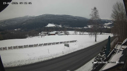 Údolí Úhlavy, Královský Hvozd