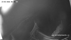 Údolí Úhlavy, Královský Hvozd