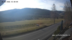 Údolí Úhlavy, Královský Hvozd