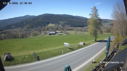 Údolí Úhlavy, Královský Hvozd