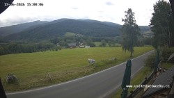 Úhlava-Tal, Königlicher Wald