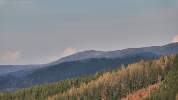 Ski areál U Sachovy studánky