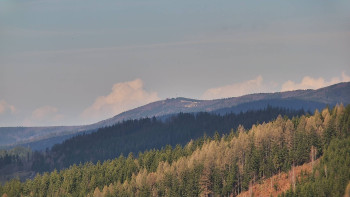 Ski areál U Sachovy studánky