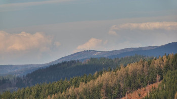 Ski areál U Sachovy studánky