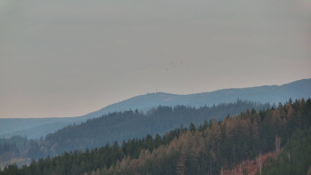 Ski areál U Sachovy studánky
