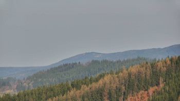 Ski areál U Sachovy studánky