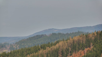 Ski areál U Sachovy studánky