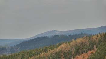 Ski areál U Sachovy studánky