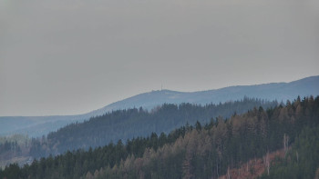 Ski areál U Sachovy studánky