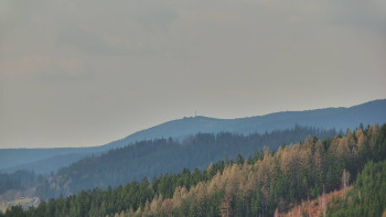 Ski areál U Sachovy studánky