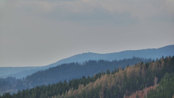 Ski areál U Sachovy studánky