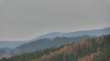 Ski areál U Sachovy studánky