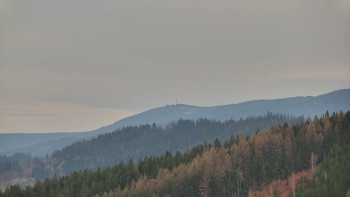 Ski areál U Sachovy studánky
