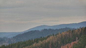 Ski areál U Sachovy studánky