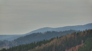 Ski areál U Sachovy studánky