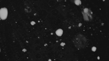 Ski areál U Sachovy studánky