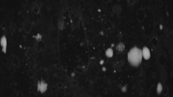 Ski areál U Sachovy studánky