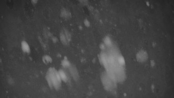 Ski areál U Sachovy studánky