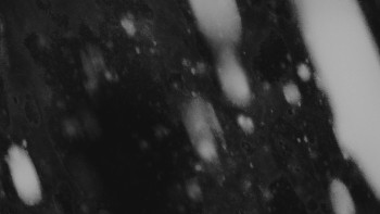 Ski areál U Sachovy studánky