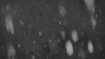 Ski areál U Sachovy studánky