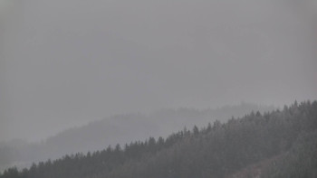 Ski areál U Sachovy studánky