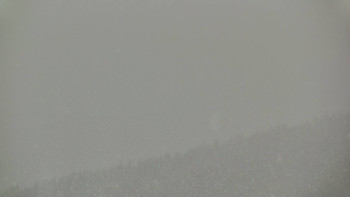 Ski areál U Sachovy studánky