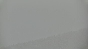 Ski areál U Sachovy studánky