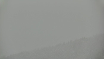 Ski areál U Sachovy studánky