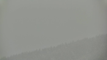 Ski areál U Sachovy studánky