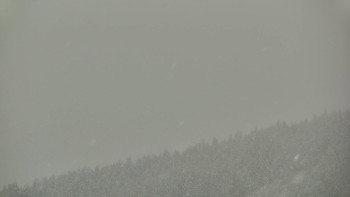 Ski areál U Sachovy studánky