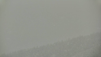 Ski areál U Sachovy studánky