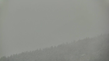 Ski areál U Sachovy studánky