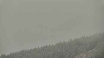 Ski areál U Sachovy studánky