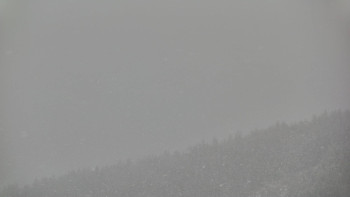 Ski areál U Sachovy studánky