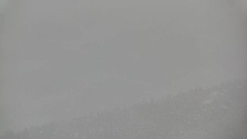 Ski areál U Sachovy studánky