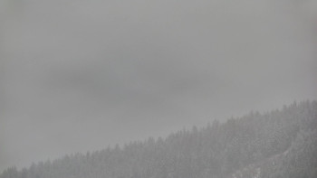 Ski areál U Sachovy studánky