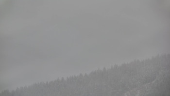 Ski areál U Sachovy studánky