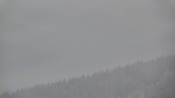 Ski areál U Sachovy studánky