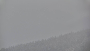 Ski areál U Sachovy studánky