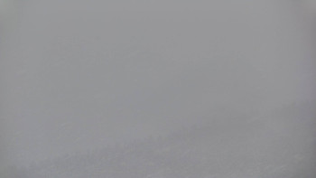 Ski areál U Sachovy studánky