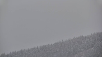 Ski areál U Sachovy studánky