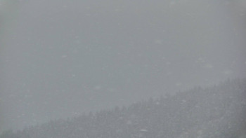 Ski areál U Sachovy studánky