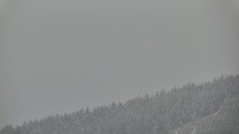 Ski areál U Sachovy studánky