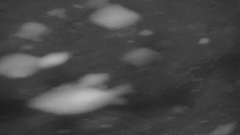 Ski areál U Sachovy studánky